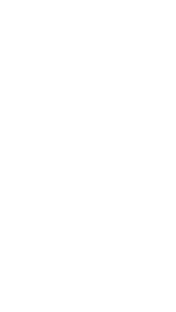 Disbursement - BimaPay